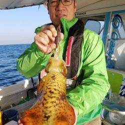 ソルトウォーターガイドフレンズ 釣果