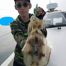 ソルトウォーターガイドフレンズ 釣果