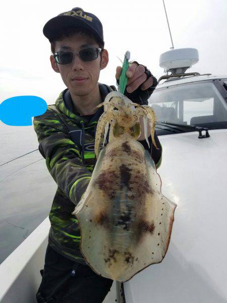 ソルトウォーターガイドフレンズ 釣果