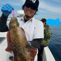 ソルトウォーターガイドフレンズ 釣果