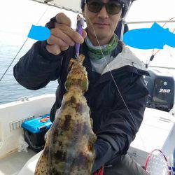 ソルトウォーターガイドフレンズ 釣果