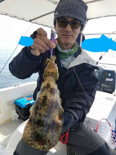 ソルトウォーターガイドフレンズ 釣果