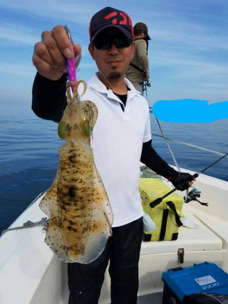 ソルトウォーターガイドフレンズ 釣果