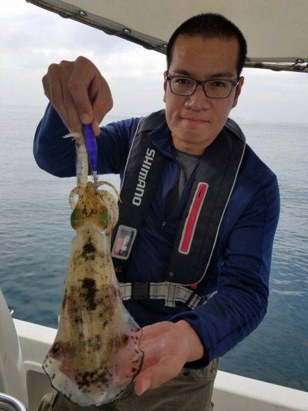 ソルトウォーターガイドフレンズ 釣果