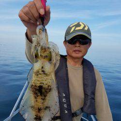 ソルトウォーターガイドフレンズ 釣果