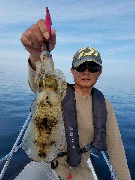 ソルトウォーターガイドフレンズ 釣果