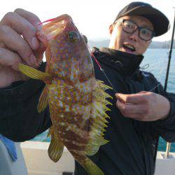 ARCADIAⅡ (アルカディアⅡ) 釣果