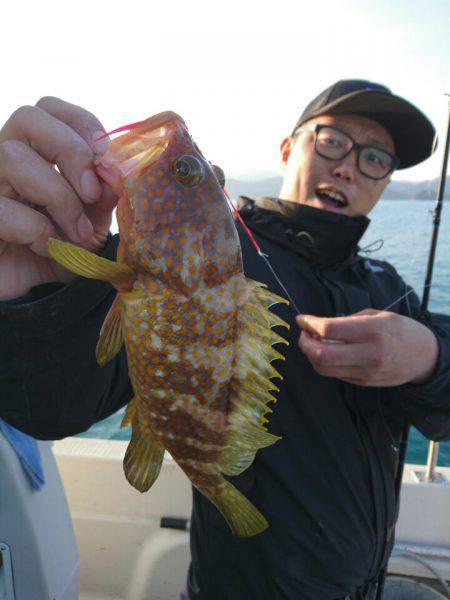 ARCADIAⅡ (アルカディアⅡ) 釣果