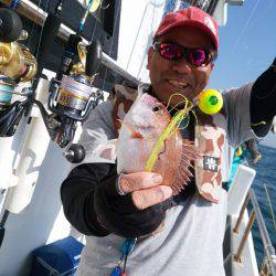ありもと丸 釣果
