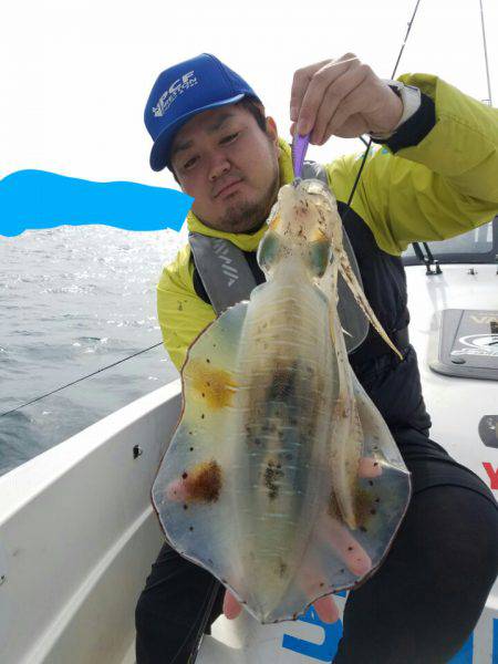 ソルトウォーターガイドフレンズ 釣果