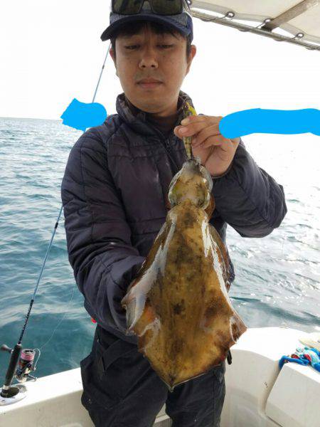 ソルトウォーターガイドフレンズ 釣果