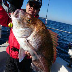 ARCADIAⅡ (アルカディアⅡ) 釣果