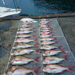 ARCADIAⅡ (アルカディアⅡ) 釣果