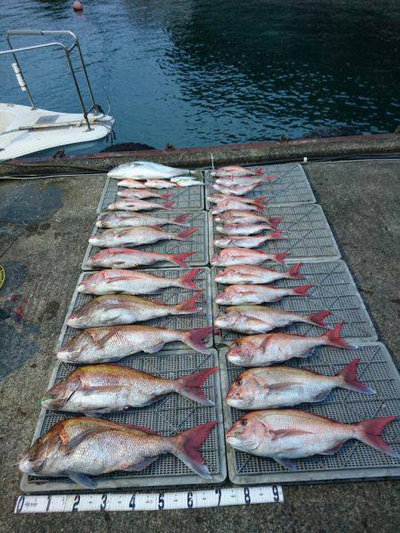 ARCADIAⅡ (アルカディアⅡ) 釣果