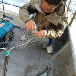 ありもと丸 釣果