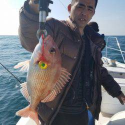 ソルトウォーターガイドフレンズ 釣果