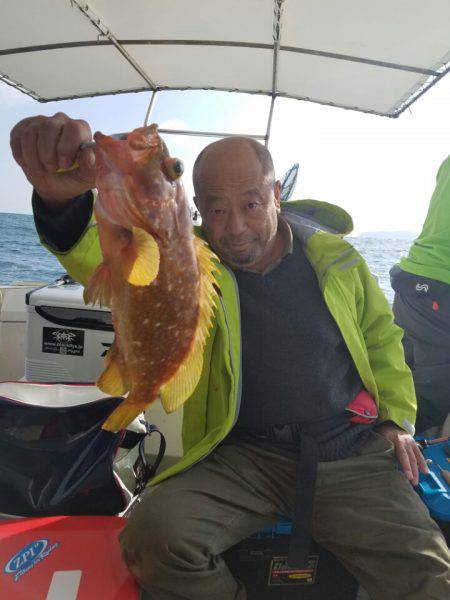 ソルトウォーターガイドフレンズ 釣果