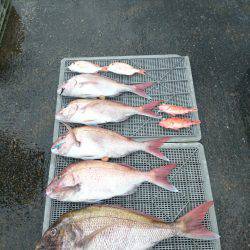 ARCADIAⅡ （アルカディアⅡ） 釣果