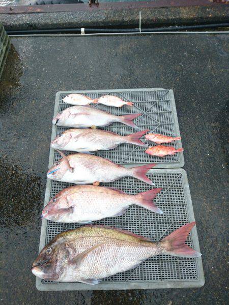 ARCADIAⅡ （アルカディアⅡ） 釣果