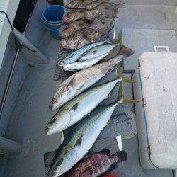 エンペラー 釣果