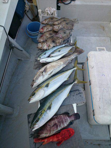 エンペラー 釣果