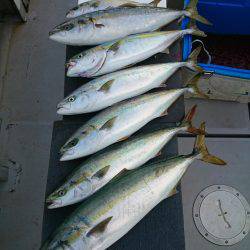 エンペラー 釣果