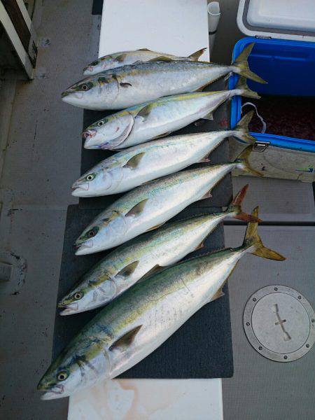 エンペラー 釣果