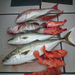 エンペラー 釣果