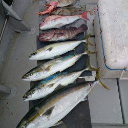 エンペラー 釣果