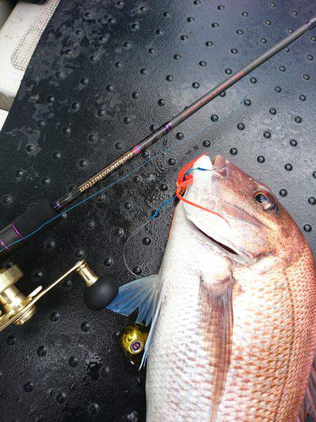 ARCADIAⅡ (アルカディアⅡ) 釣果