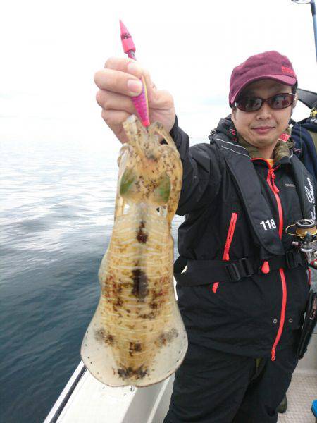 ARCADIAⅡ (アルカディアⅡ) 釣果