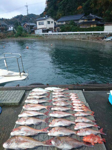 ARCADIAⅡ (アルカディアⅡ) 釣果