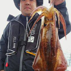 ブルースフィッシングサービス 釣果