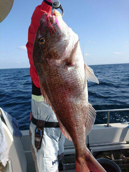 ARCADIAⅡ （アルカディアⅡ） 釣果…