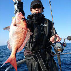 ARCADIAⅡ (アルカディアⅡ) 釣果