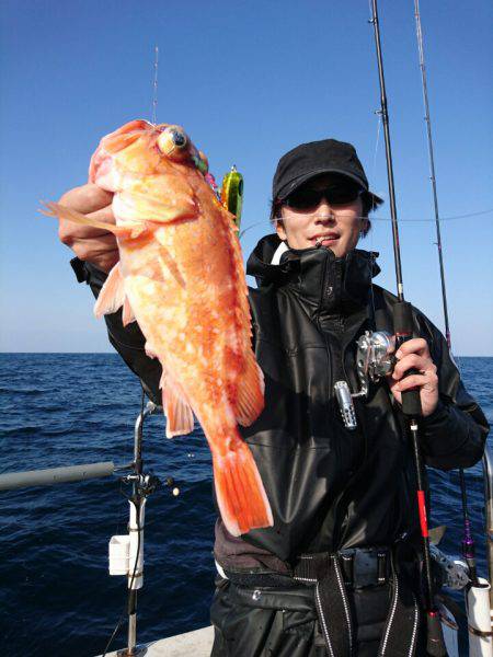 ARCADIAⅡ (アルカディアⅡ) 釣果