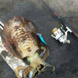 ブルースフィッシングサービス 釣果