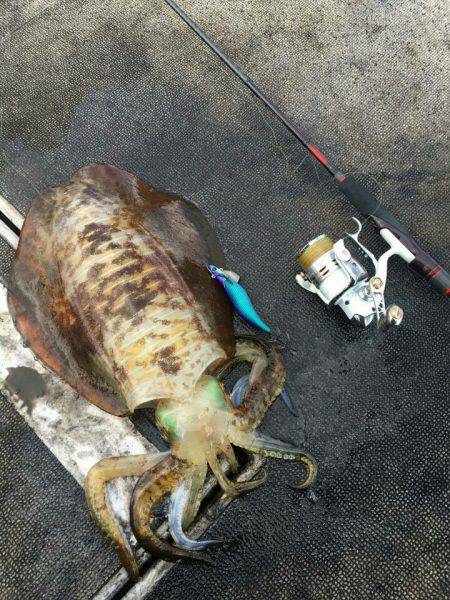 ブルースフィッシングサービス 釣果