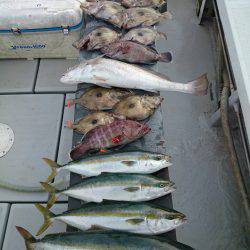 エンペラー 釣果