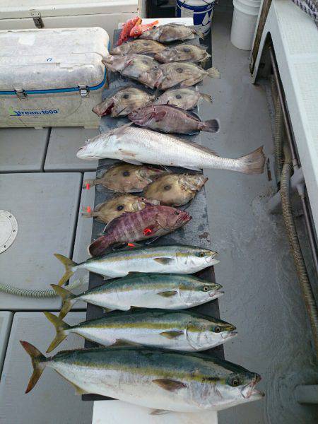 エンペラー 釣果