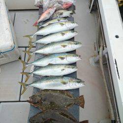 エンペラー 釣果