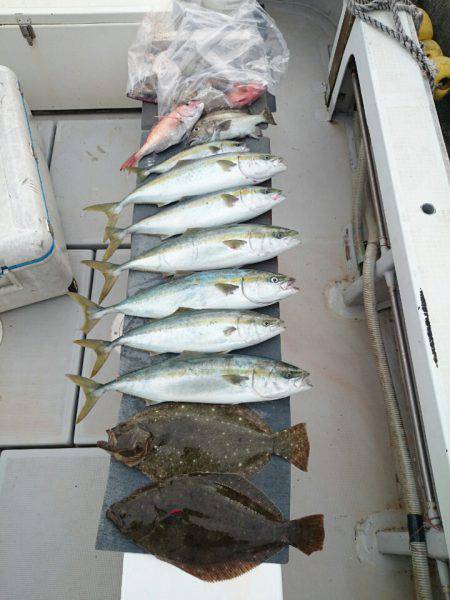 エンペラー 釣果