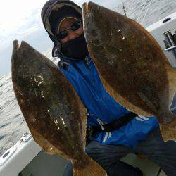 シーライオン 釣果