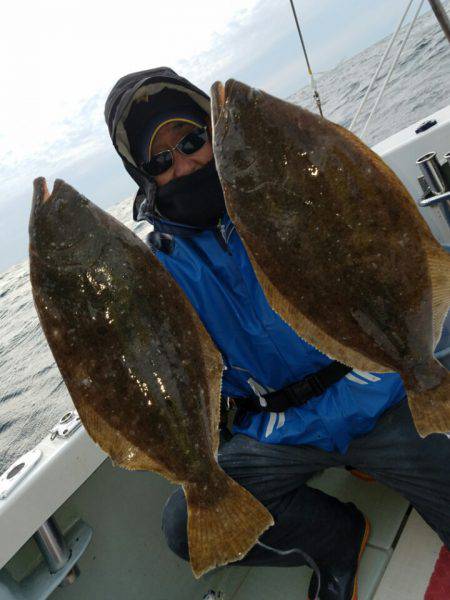 シーライオン 釣果