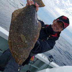 シーライオン 釣果