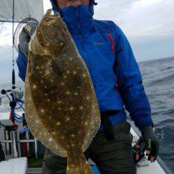 シーライオン 釣果