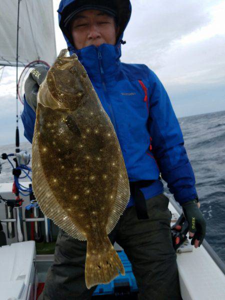 シーライオン 釣果