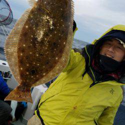 シーライオン 釣果