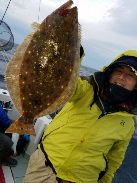 シーライオン 釣果