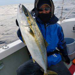 シーライオン 釣果